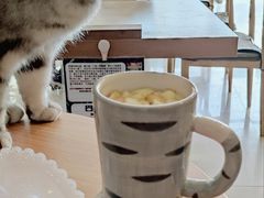 -平行世界·猫咖(首经贸店)