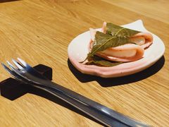 -柴务处·柴犬主题狗咖