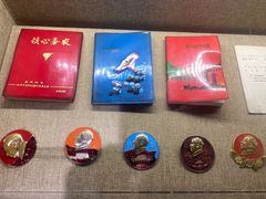 -同里国家湿地公园