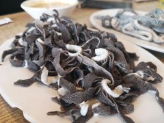 -宋记爆肚(酒仙桥店)