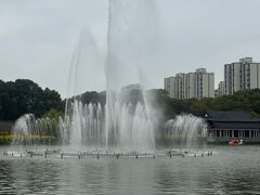 -南汇桃花村