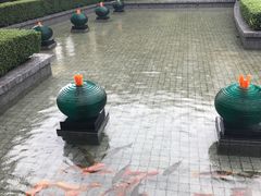 -千岛湖品鱼馆(钓鱼岛店)