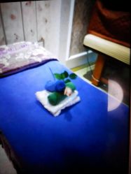 -悦芳庭美肤美体品牌集合店