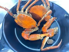 -莲花公园煎蟹(总店)