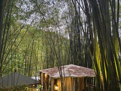 -竹海听涛生态山庄