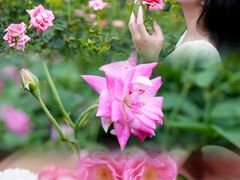 -人民公园(罗湖区)