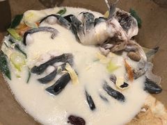 鮰鱼-云中鱼蒸汽石锅鱼(川沙百联店)