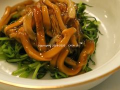 -伯衡55·吉品轩(乌鲁木齐南路店)