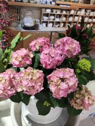 -今日陶艺(富力广场店)