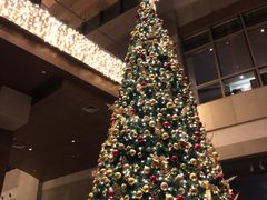 -上海外滩茂悦大酒店