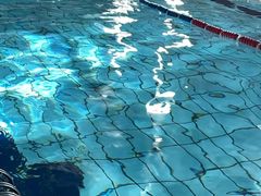 -清华大学-陈明游泳馆