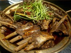 -友乐居羊蝎子(西直门店)