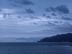-野菌皇海景野生菌火锅(滨海大道店)