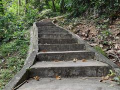 -火炉山森林公园
