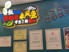 -新概念来凤鱼(璧山店)