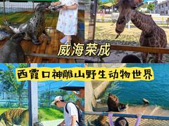 -西霞口神雕山野生动物世界