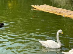 -海南热带野生动植物园