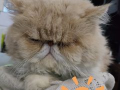 -鑫亮视光·蔡司品牌折扣店·配镜(哈工大科学园店)