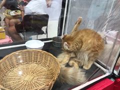 -凯德广场(学府店)