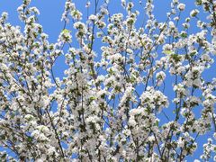 -仙海旅游度假区