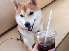 -SAANCI山池咖啡(卓悦中心店)