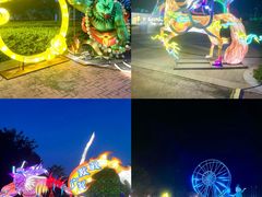 -东南花都花博园