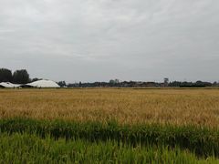 -中国天府农业博览园