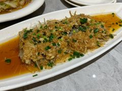 雪菜蒸深海大黄鱼-老绍兴养和饭店(向阳不夜城店)