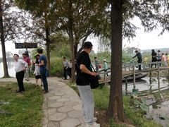 -洪湖生态旅游区