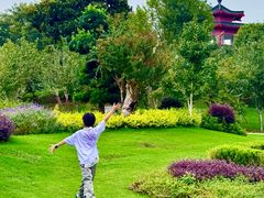 -南京银杏湖乐园