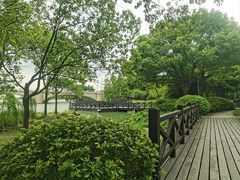 -长广溪湿地公园
