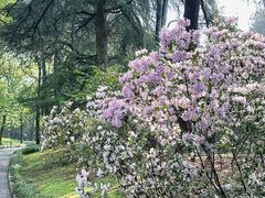 -杭州植物园