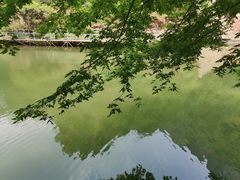 -湖洞水自然风景区