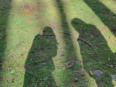 -硗碛藏寨·神木垒景区