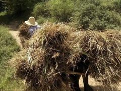 -好利来(团结湖店)