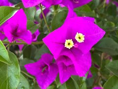 -浙江越秀外国语学院