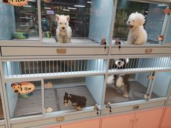 -FAELING PETS美天灵宠物(合生汇店)