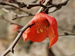 -昆山城市生态森林公园