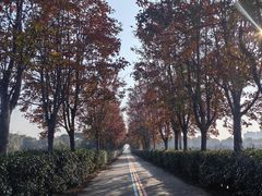 -阳澄湖半岛旅游度假区