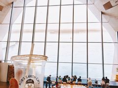 -抱抱地球咖啡馆(国家海洋博物馆店)