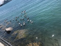 -青海湖二郎剑景区