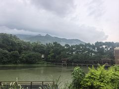 -清水湖度假村(罗浮山美食地标店)