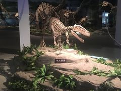 -自贡恐龙博物馆