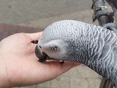 -深圳欢乐谷