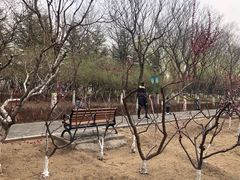 -大兴滨河森林公园