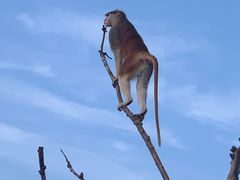 -上海野生动物园