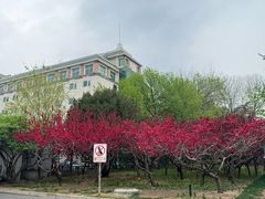 -中央民族大学