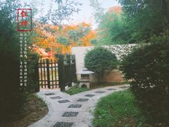 -徂徕山森林康养度假谷温泉