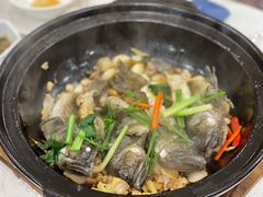 -寻味顺德·南记酒家·传统顺德菜·鱼生(广源路店)