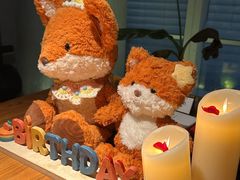 -CHIC1699远洋私厨